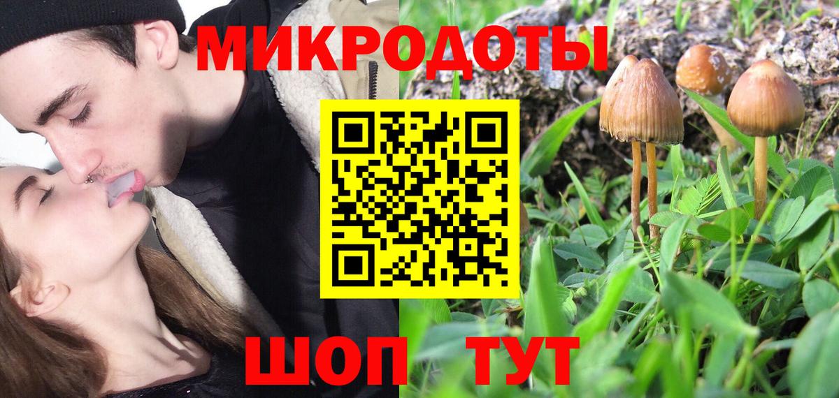 Галлюциногенные грибы мицелий Зерноград