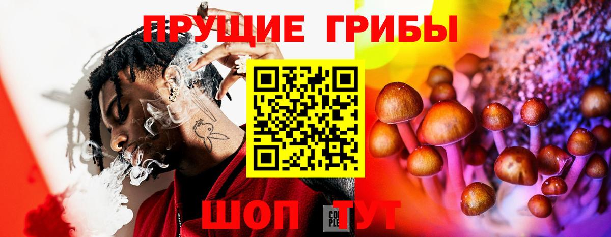 Псилоцибиновые грибы ЛСД  Вход с VPN  Псилоцибиновые грибы Cubensis  Зерноград 